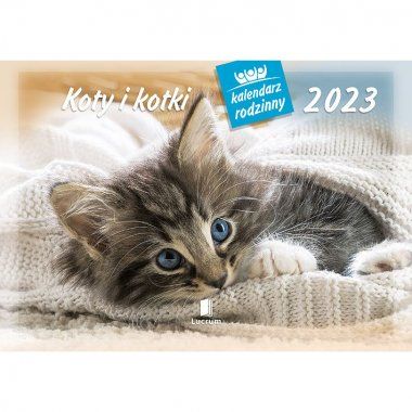Kalendarz ścienny Koty i kotki 2023 28x20cm Lucrum